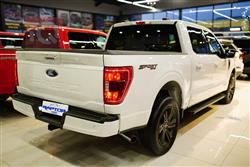فۆرد F-150